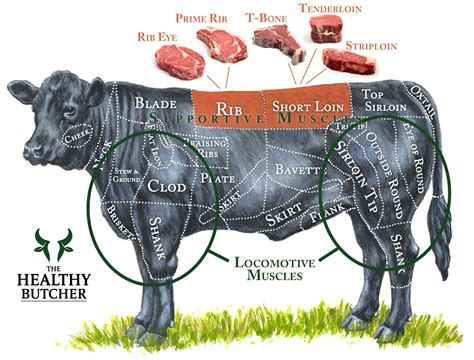 What Animal Makes Steak: A Culinary and Philosophical Inquiry